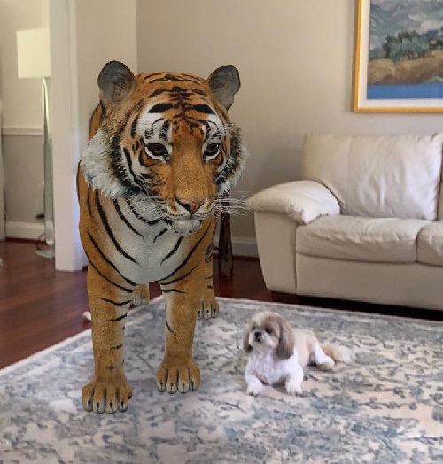 Google disponibiliza animais em 3D no chão da sua casa