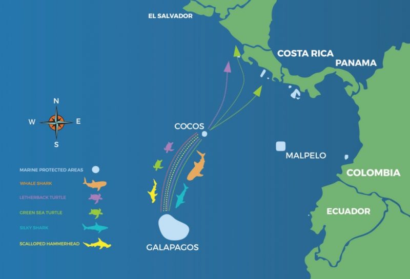 Navios pesqueiros chineses ameaçam biodiversidade de Galápagos