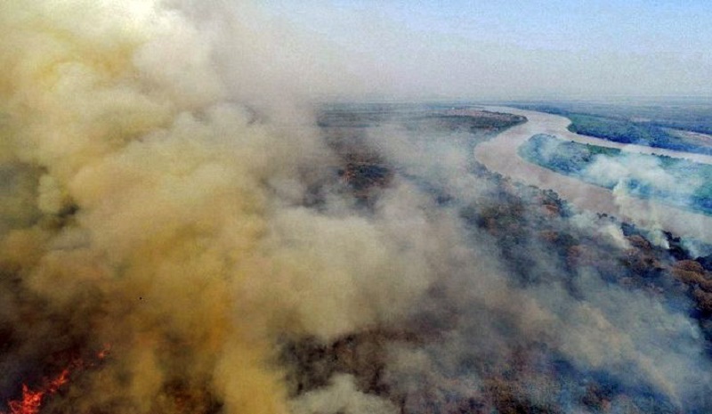 Pantanal tem aumento de mais de 200% nas queimadas em julho em comparação a 2019