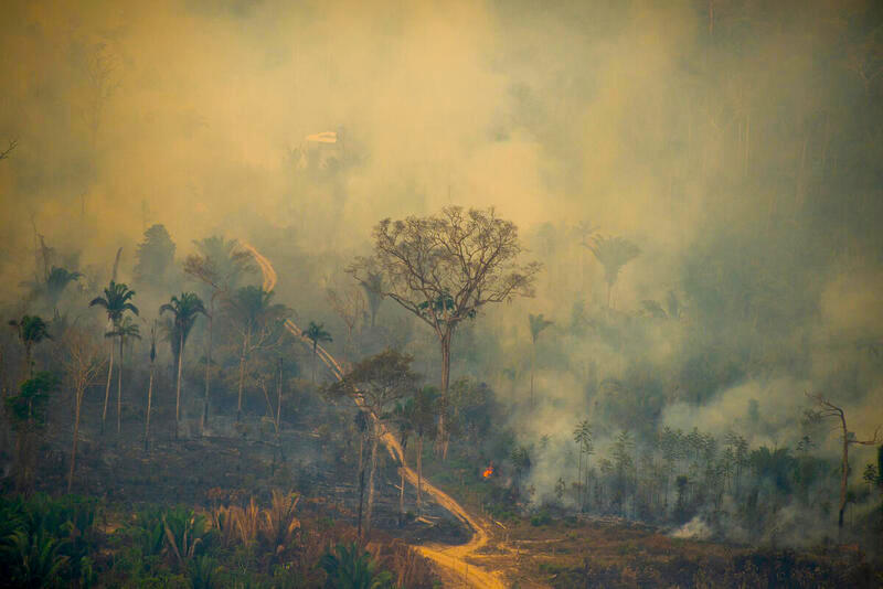 Queimadas aumentam na Amazônia, desrespeitando a moratória do fogo
