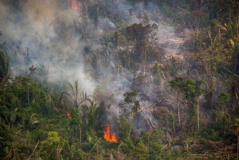 Queimadas aumentam na Amazônia, desrespeitando a moratória do fogo