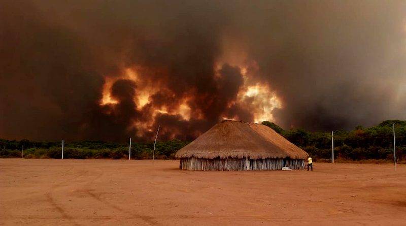 Exploração madeireira e incêndios florestais: 8 – Métodos para avaliar a  vulnerabilidade a incêndio - Amazônia Real