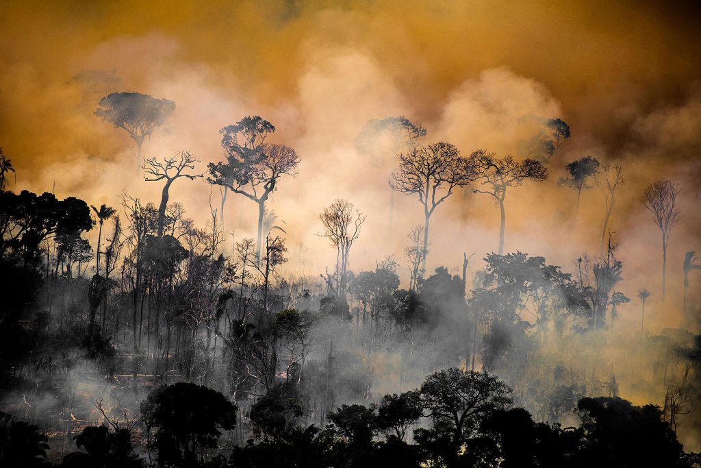 Cientistas apontam o desmatamento como causa da redução de chuvas na Amazônia