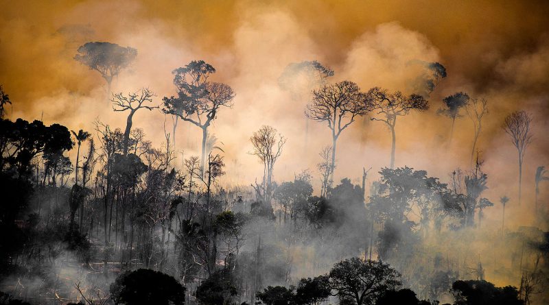 Observatório do ClimaAmazônia sufocada e o racha na ciência do clima - OC