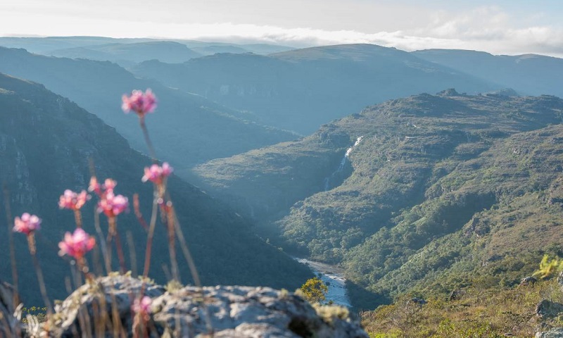 Montanhas, rios, cachoeiras e fauna e flora exuberantes: as belezas do Guartelá, o maior cânion do Brasil 