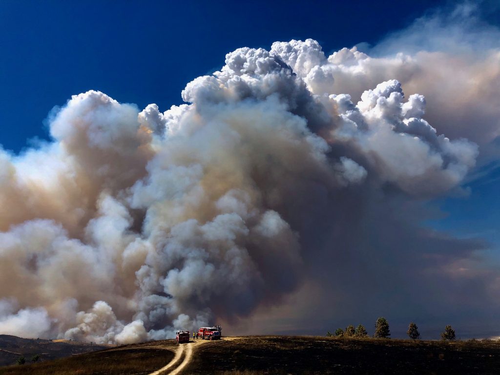 Incêndios na Califórnia: quase 900 mil km² de vegetação queimados e temperatura recorde de 49°C graus