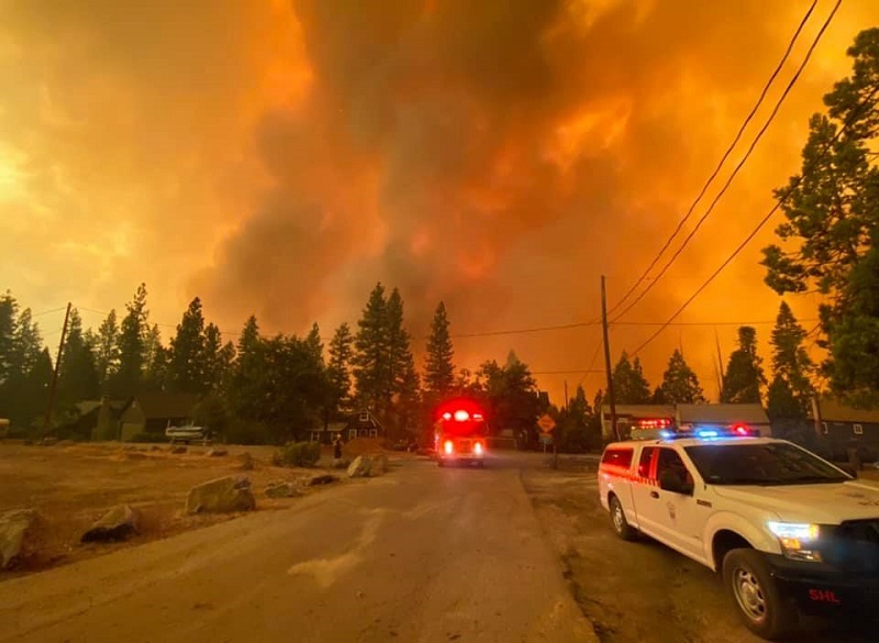 Incêndios na Califórnia: quase 900 mil km² de vegetação queimados e temperatura recorde de 49°C graus