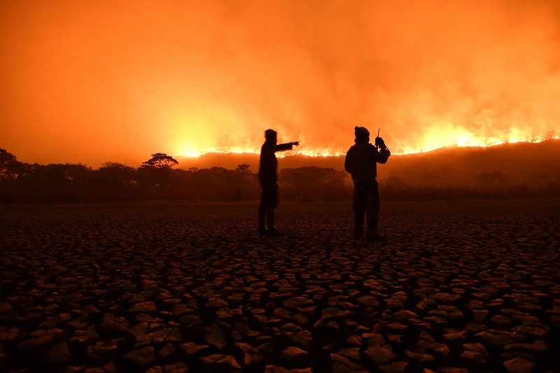 “Pantanal - Vida, Morte e Renascimento”: exposição virtual reúne olhar de grandes nomes da fotografia sobre o bioma tão castigado