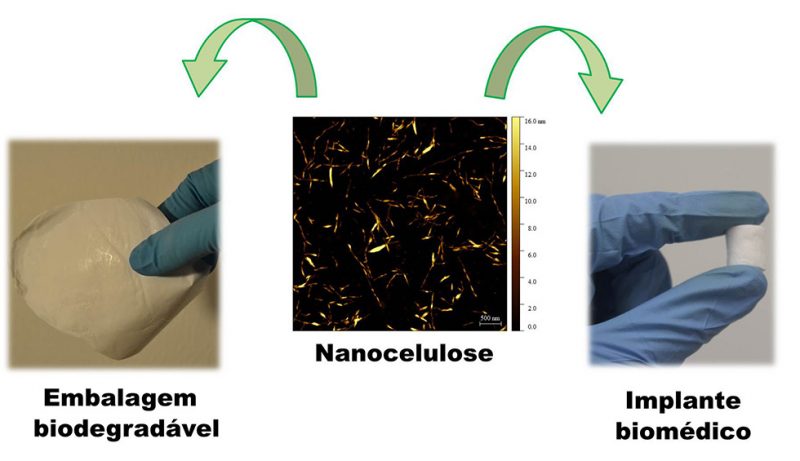 Brasileiro é um dos vencedores de prêmio internacional com projeto de plástico biodegradável a partir da celulose