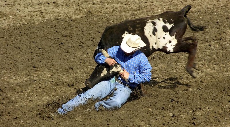 SP: peão morre após ser pisoteado por touro em prova de rodeio