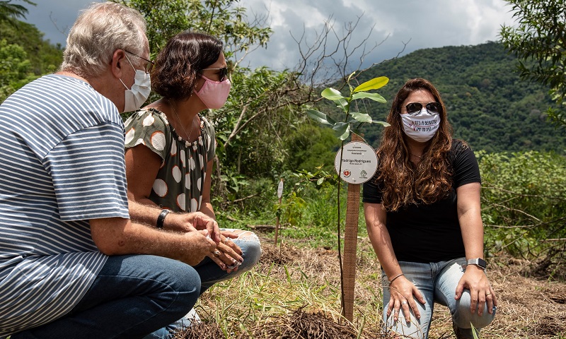 Bosques da Memória: campanha homenageia brasileiros vítimas da COVID-19 através do plantio de árvores na Mata Atlântica