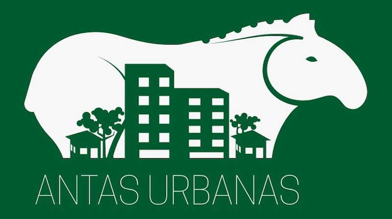 Com a ajuda de moradores de Campo Grande, MS, pesquisadores vão mapear trajetos urbanos das antas e realizar estudo inédito