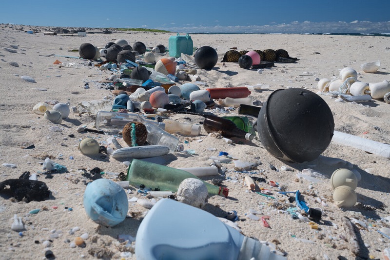 Quase 50 toneladas de resíduos plásticos e redes de pescas são recolhidas na maior área de proteção marinha do planeta