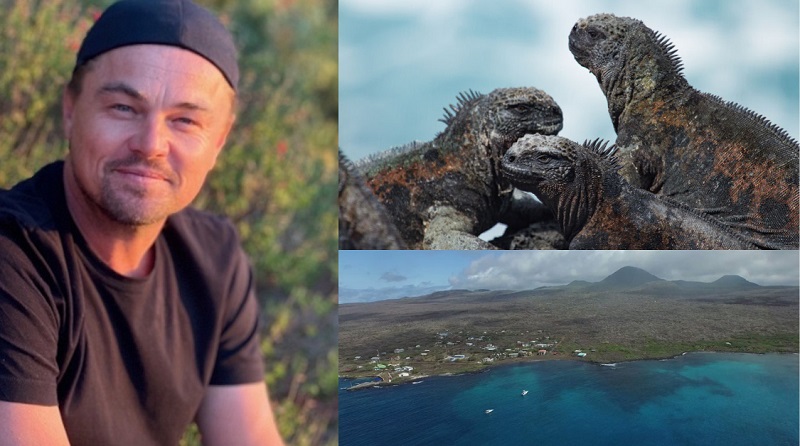 Leonardo DiCpario anuncia investimento de milhões para recuperar vida selvagem das Ilhas Galápagos 