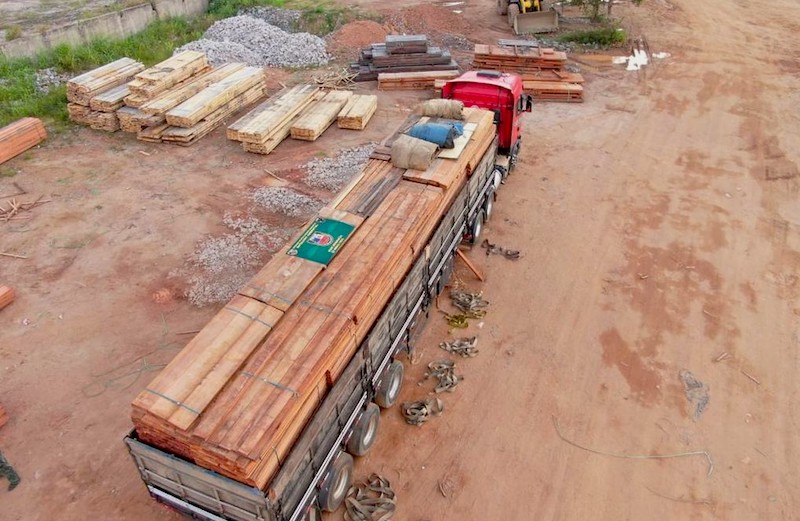 Polícia Ambiental do Amazonas faz a maior apreensão de madeira ilegal do ano: cerca de 600 mil m3