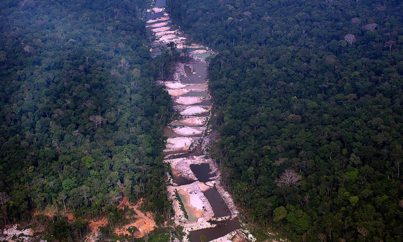 Pelo quarto mês seguido, Amazônia tem alta no desmatamento: salto foi de 40% em maio