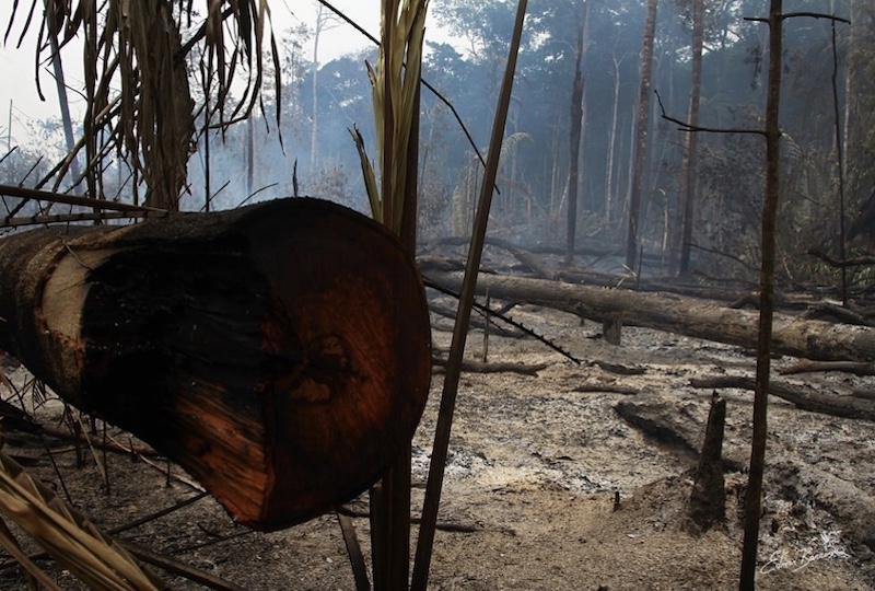 Fotógrafo é ameaçado de morte após registrar queimadas na Amazônia e divulgar em redes sociais