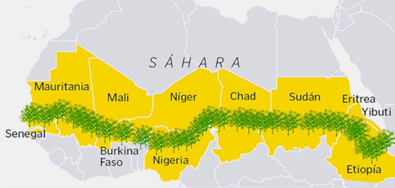 A Grande Muralha Verde, iniciada em 2007 na África, ganha 'floresta olímpica' com 355 mil árvores