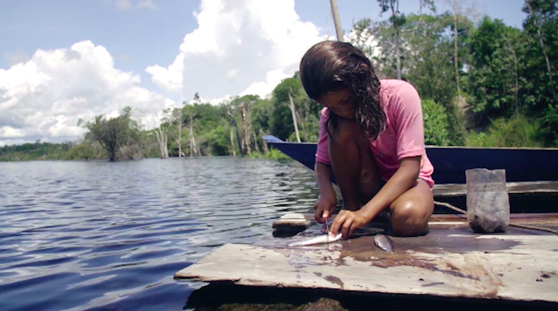 Lançamento do filme sobre o Rio Negro alavanca empreendedorismo ribeirinho na  Amazônia
