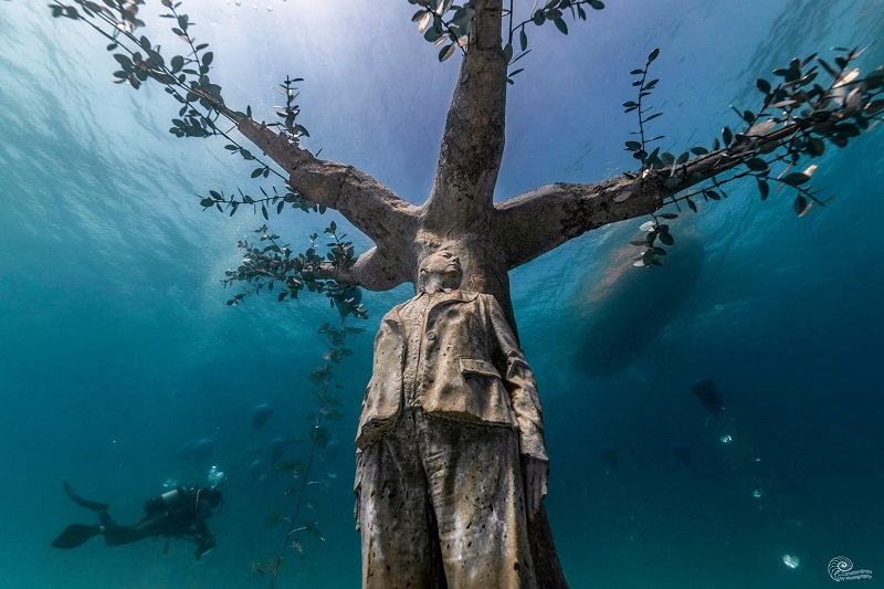 Impressionante floresta submarina com esculturas é criada para atrair vida marinha no Mar Mediterrâneo