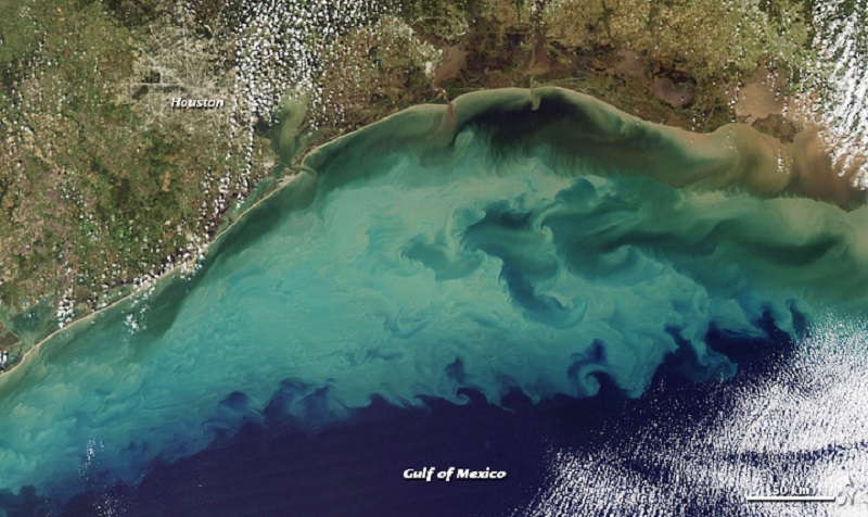 Cientistas alertam sobre aumento da 'zona morta' nas águas do Golfo do México, onde vida marinha não sobrevive
