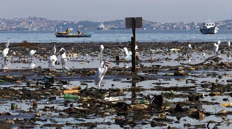 Acidente na Baía de Guanabara lança luz a problema ambiental e social