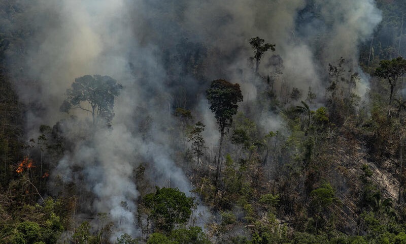 Pará, Acre e Mato Grosso concentram quase 65% das queimadas ilegais na Amazônia em setembro