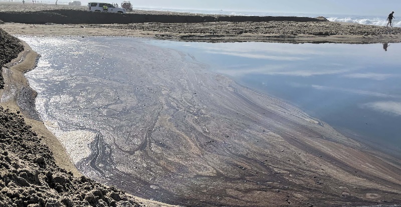 Vazamento de quase 500 mil litros de petróleo atinge praias e animais no litoral da Califórnia 