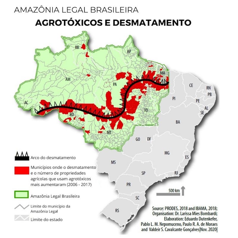 Floresta envenenada: fazendeiros jogam agrotóxicos sobre Amazônia para acelerar desmatamento e abrir espaço para soja e gado