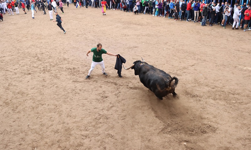 Espanha: corrida de touros nas ruas de Valência deixa três mortos