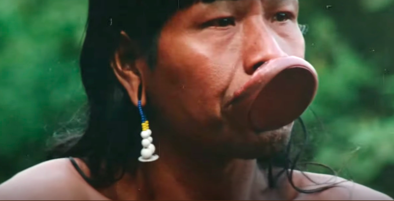 Xingu completa 60 anos e ganha 'Mostra Ecofalante de Cinema', online e gratuita, com 31 filmes realizados entre 1932 e 2021