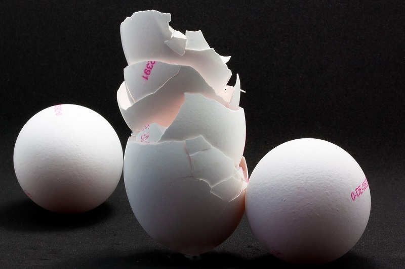 Startup brasileira inova ao desenvolver processo de extração de ácido hialurônico a partir da casca de ovo