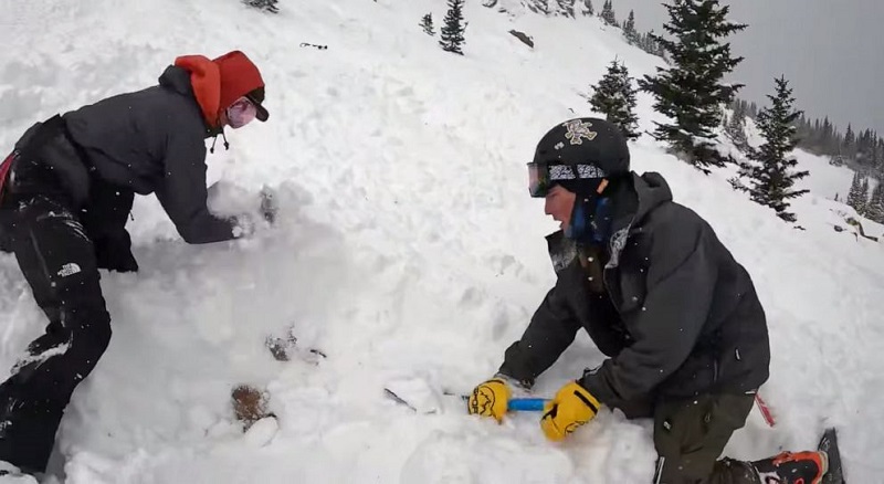 Cachorro é resgatado e sobrevive depois de ficar soterrado durante 20 anos por uma avalanche 