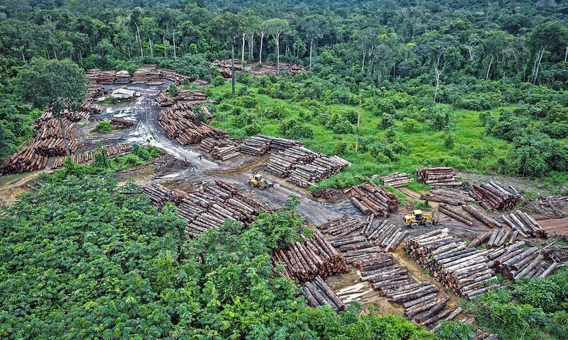 Pior índice dos últimos dez anos: aumento do desmatamento na Amazônia chega a quase 30% em 2021