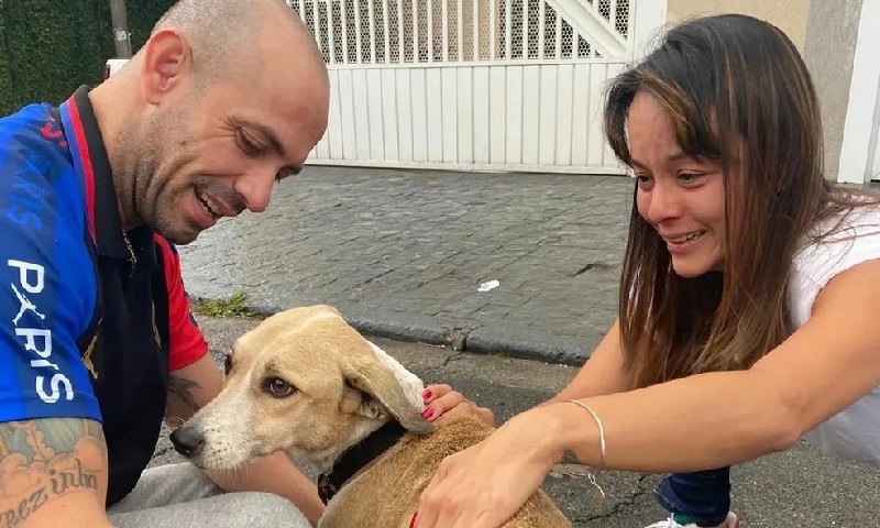 Pandora, cachorrinha perdida no aeroporto de Guarulhos pela Gol, é encontrada!