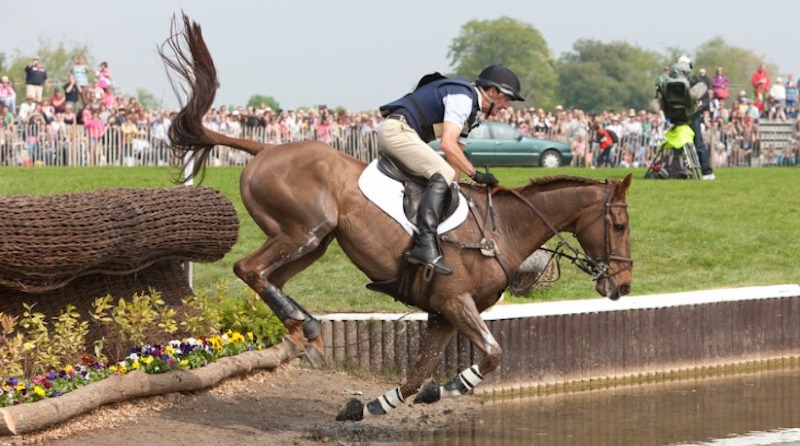 Cavalo esportivo pulando de estilo