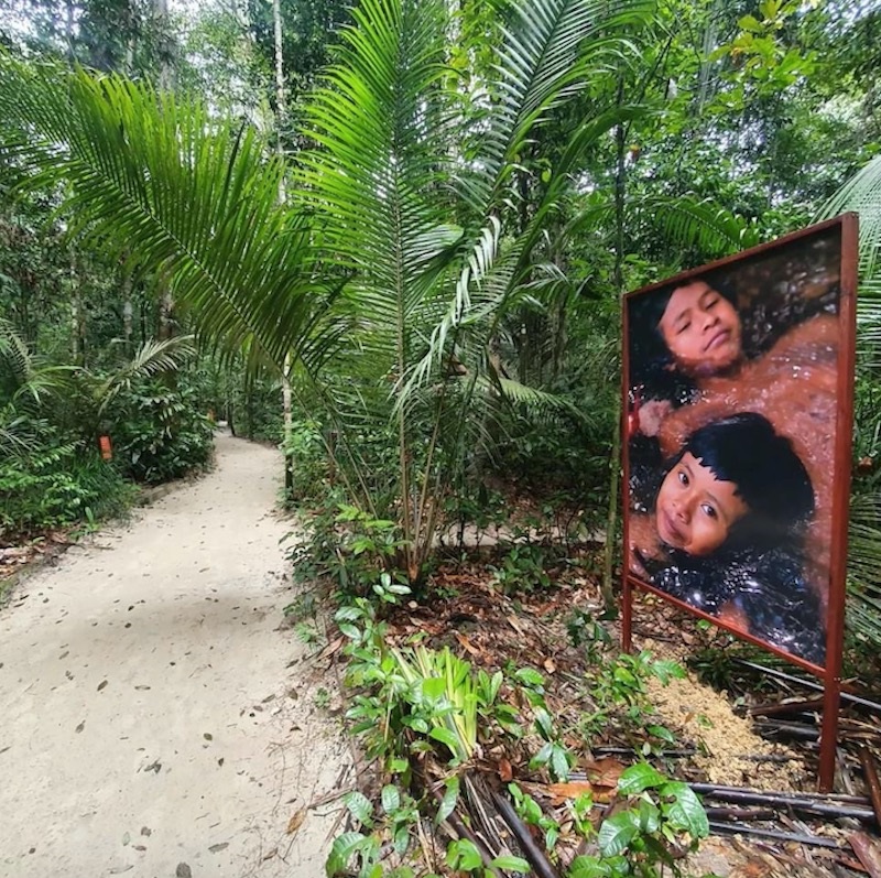 Em exposição fotográfica na floresta do Museu da Amazônia, Renato Soares nos lembra que 'esta terra tem dono' e 'o Brasil é indígena'