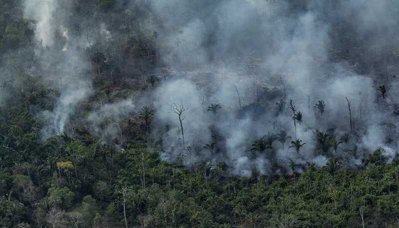 Oito municípios da Amazônia estão entre os que mais emitem gases de efeito estufa no Brasil