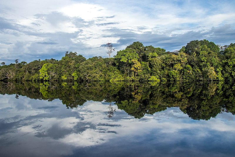 Preservar 80% da Amazônia e evitar sua desertificação custaria ao Brasil 7 vezes menos do que a Europa investe em conservação ambiental