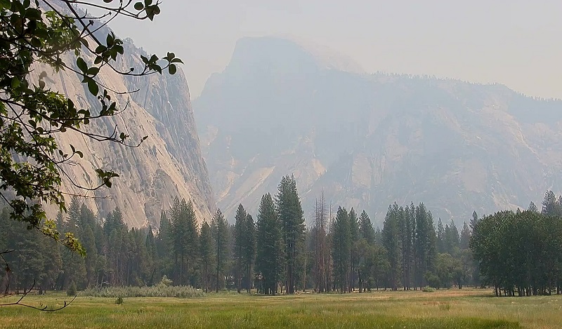 Incêndios voltam a ameaçar sequoias gigantes da Califórnia, consideradas as maiores árvores do planeta