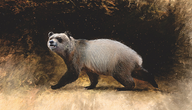 Há seis milhões de anos, uma espécie de panda gigante vivia em florestas da Europa