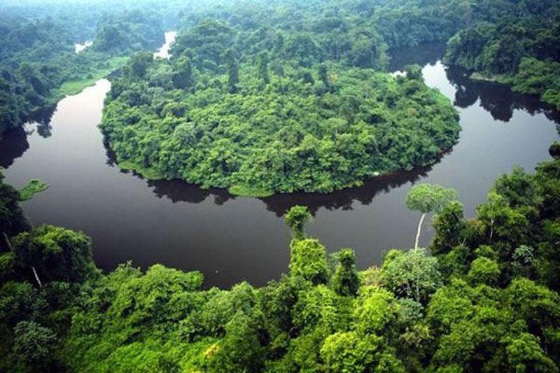 Parque Estadual Cristalino II em perigo! Justiça do MT determina extinção desta área considerada prioritária para a conservação da Amazônia