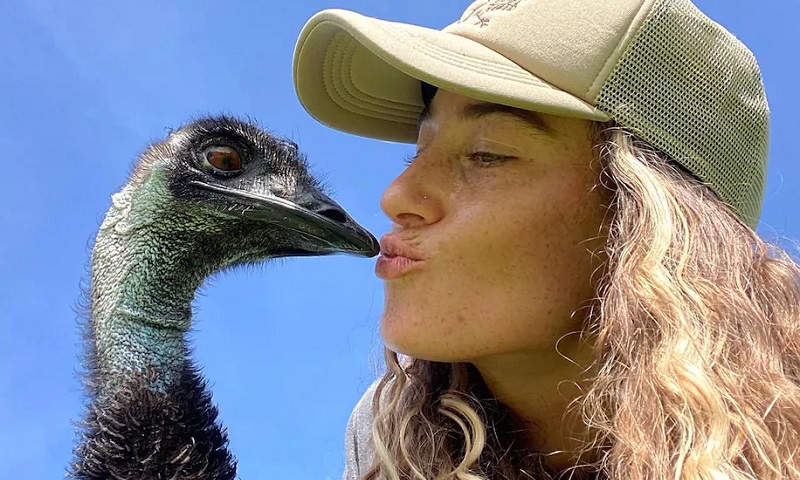 bixo azul peludo｜Pesquisa do TikTok