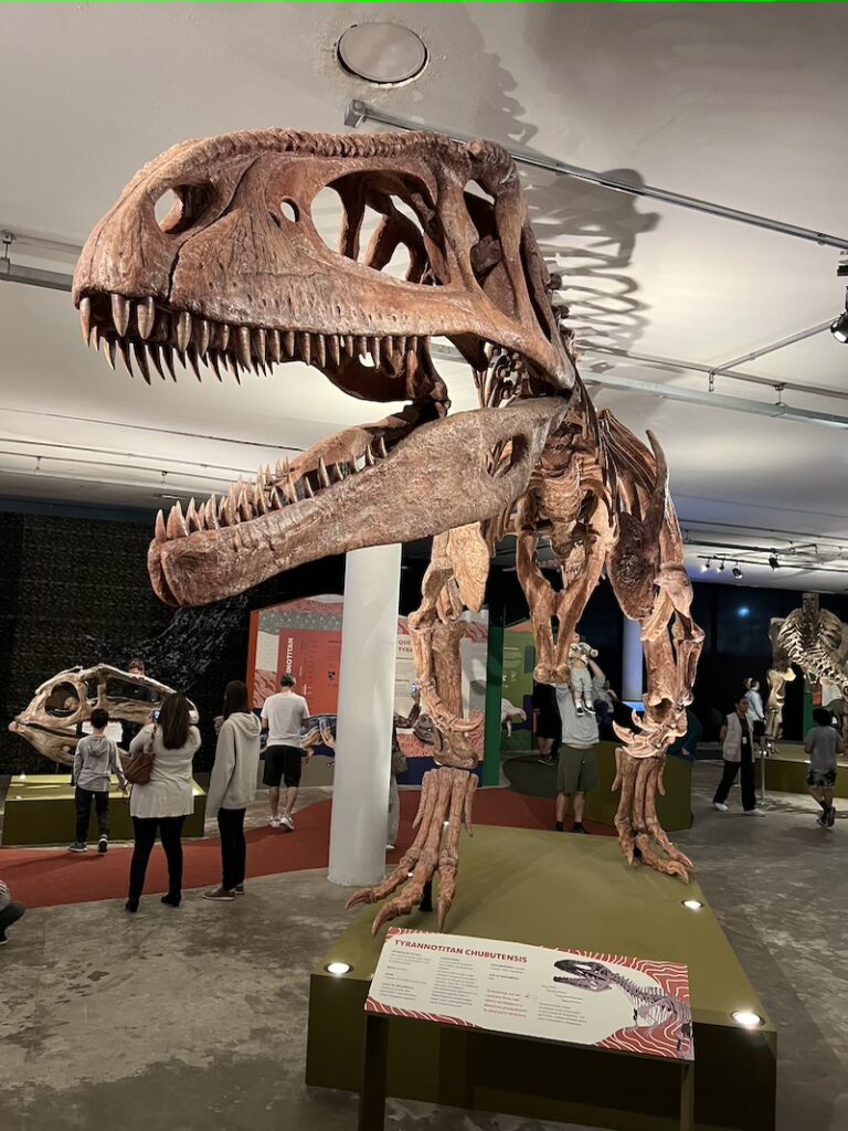 Arquivando o esqueleto do grand t-rex