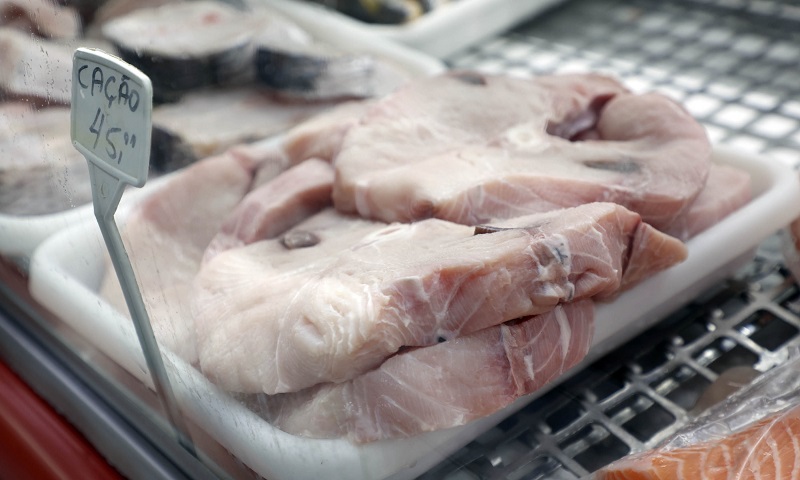 Supermercados, peixarias e restaurantes do Paraná serão obrigados a informar consumidores que 'cação' é tubarão ou raia