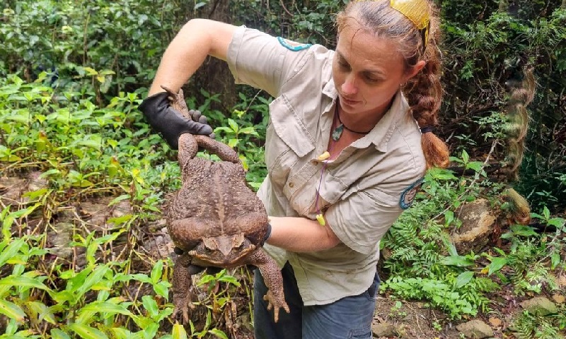 GIGANTES Aparecem na TERRA para EXTERMINAR a RAÇA HUMANA 