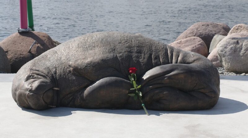 Freya, morsa morta sem necessidade, ganha memorial na Noruega