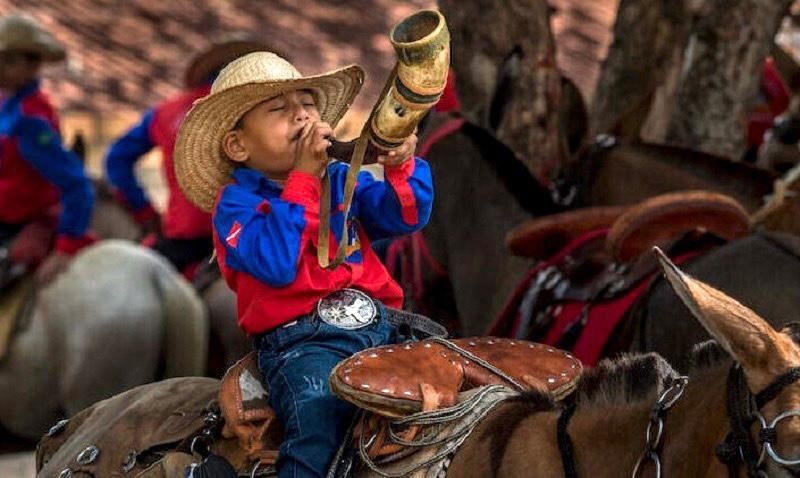 Peão de rodeio morre pisoteado por boi durante montaria em MG, Centro-Oeste