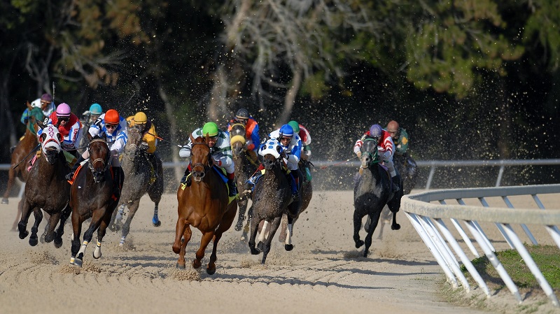 Corridas de Cavalos