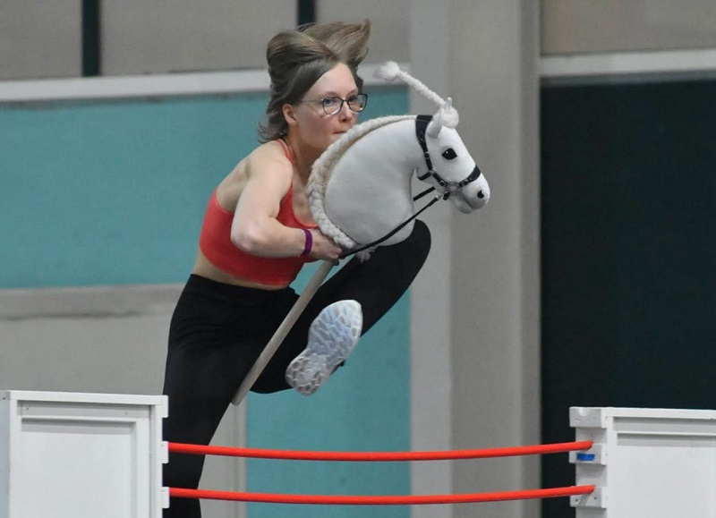 Obstáculos para pular a cavalo Equestrian Show jumping